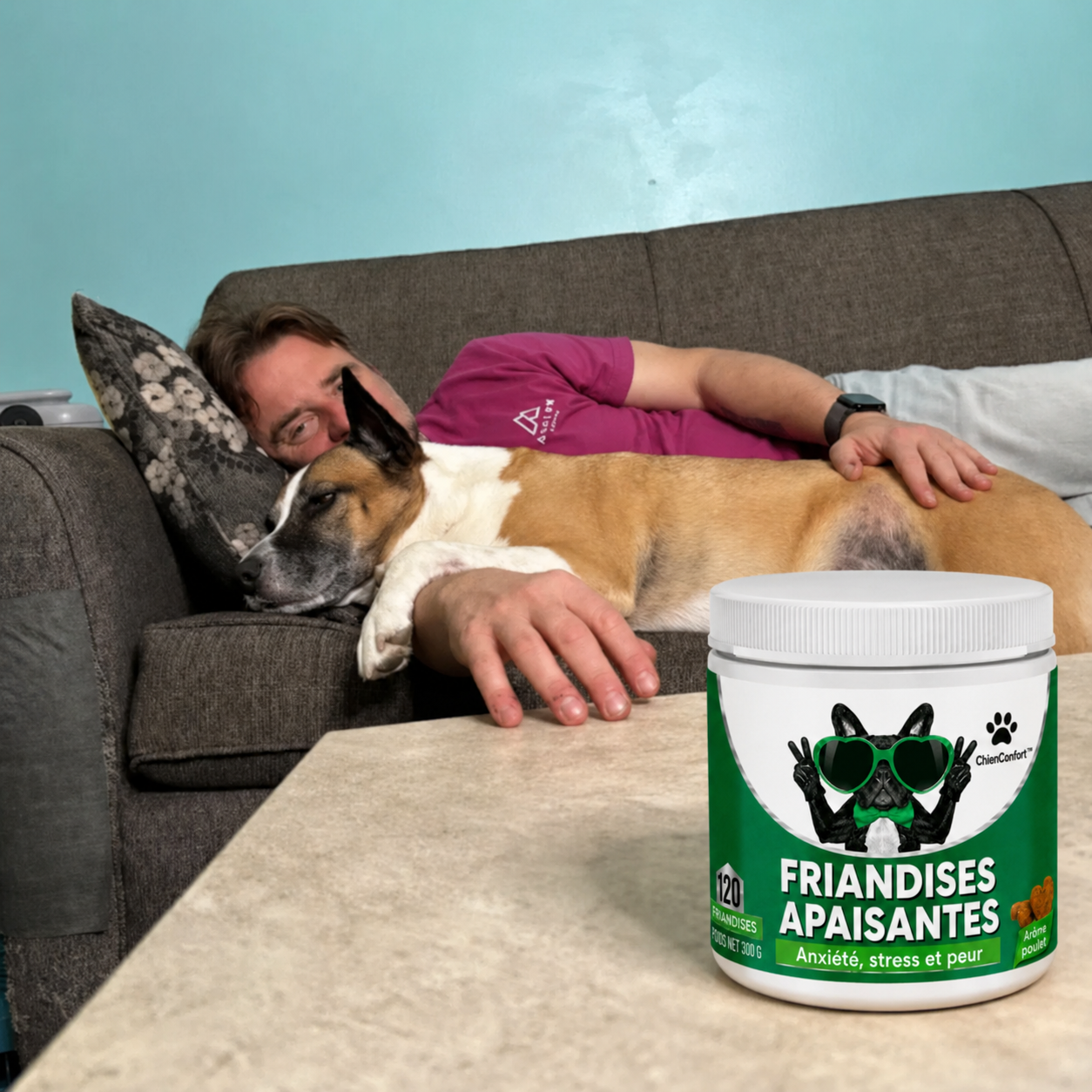 Chien calme à la maison