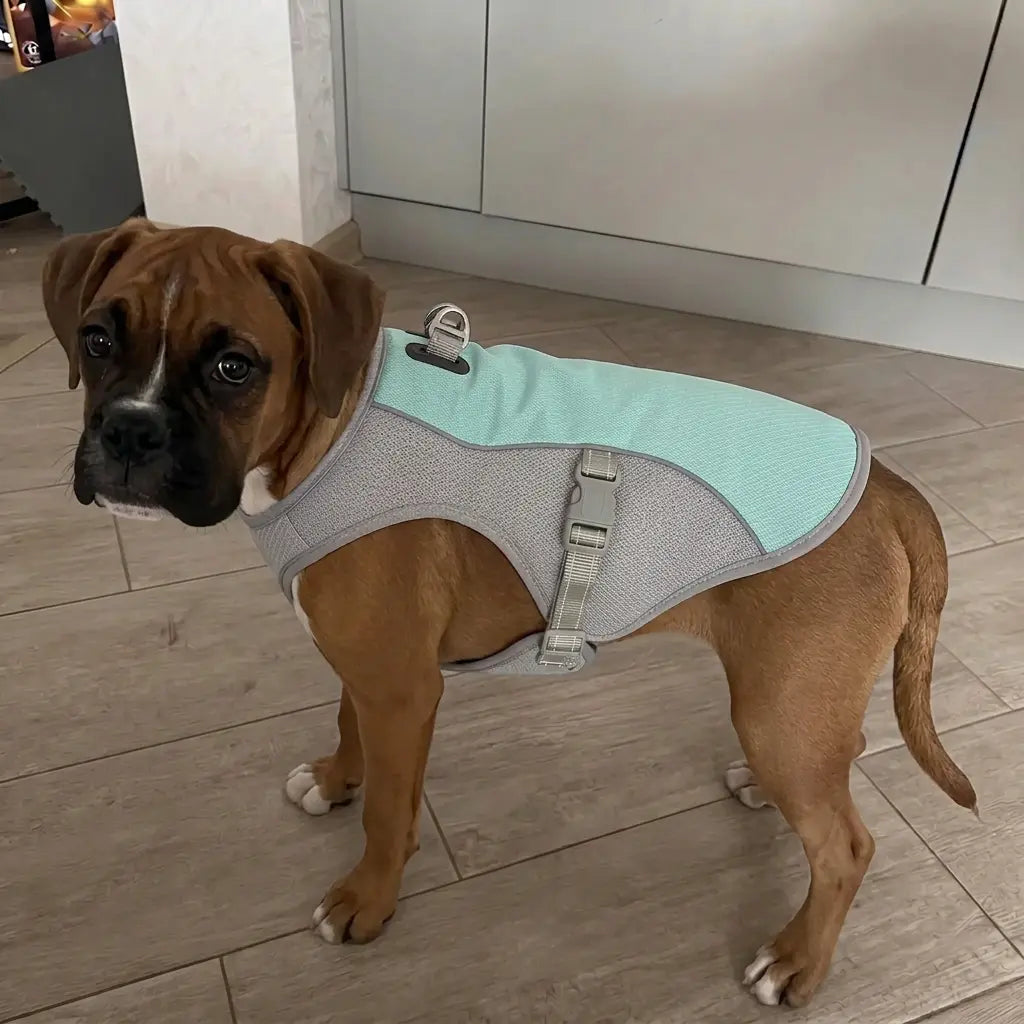 Sophie M.