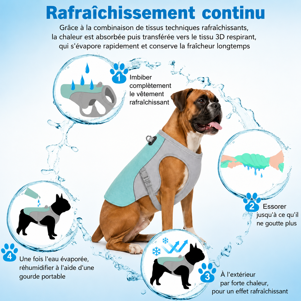ChienConfort™