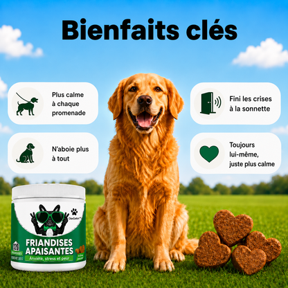 ChienConfort ™