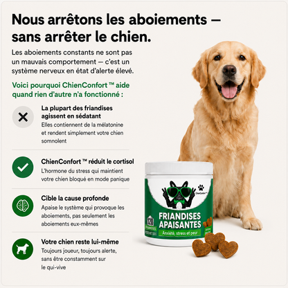 ChienConfort ™