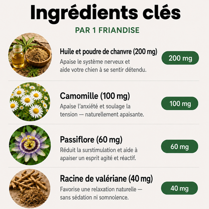 ChienConfort ™