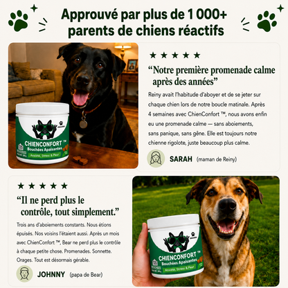 ChienConfort ™