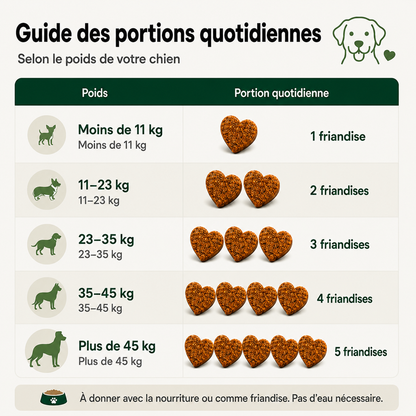 ChienConfort ™