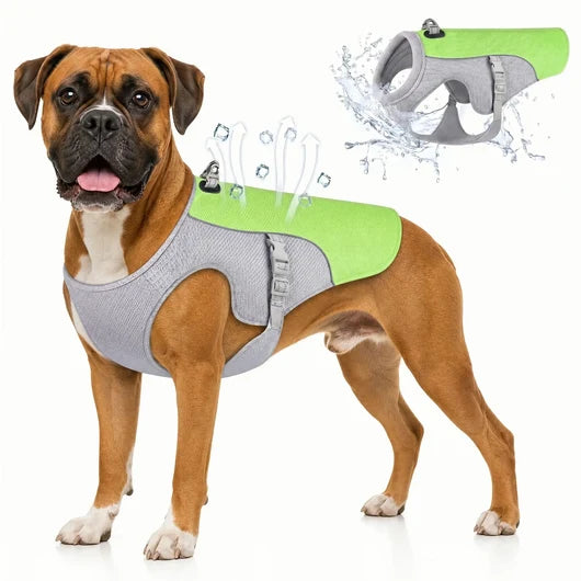 ChienConfort™